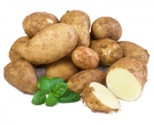 Картофель в кулинарии и медицине